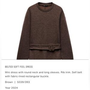 Zara Brown Sweater knit dress